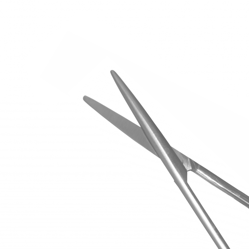205-Scissors, 10.5 Cm, Blunt/Blunt, Straight