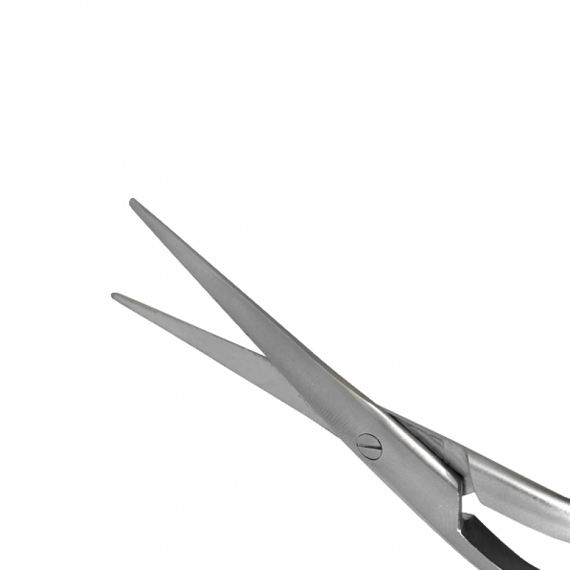 854-Fomon Dorsal Scissors, Angular, Size 2