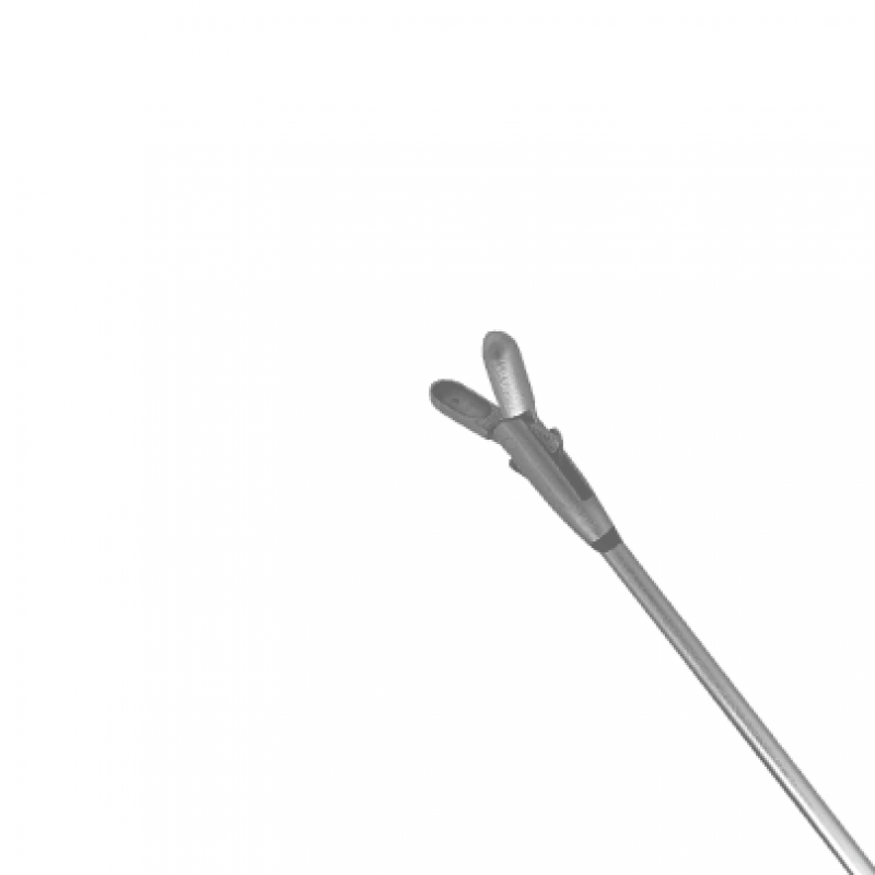 516-Giraffe Polypus Forceps Straight