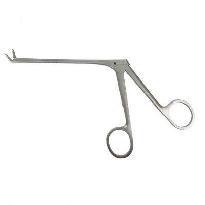 503-Blakesley 45ø Angled Medium Sized
